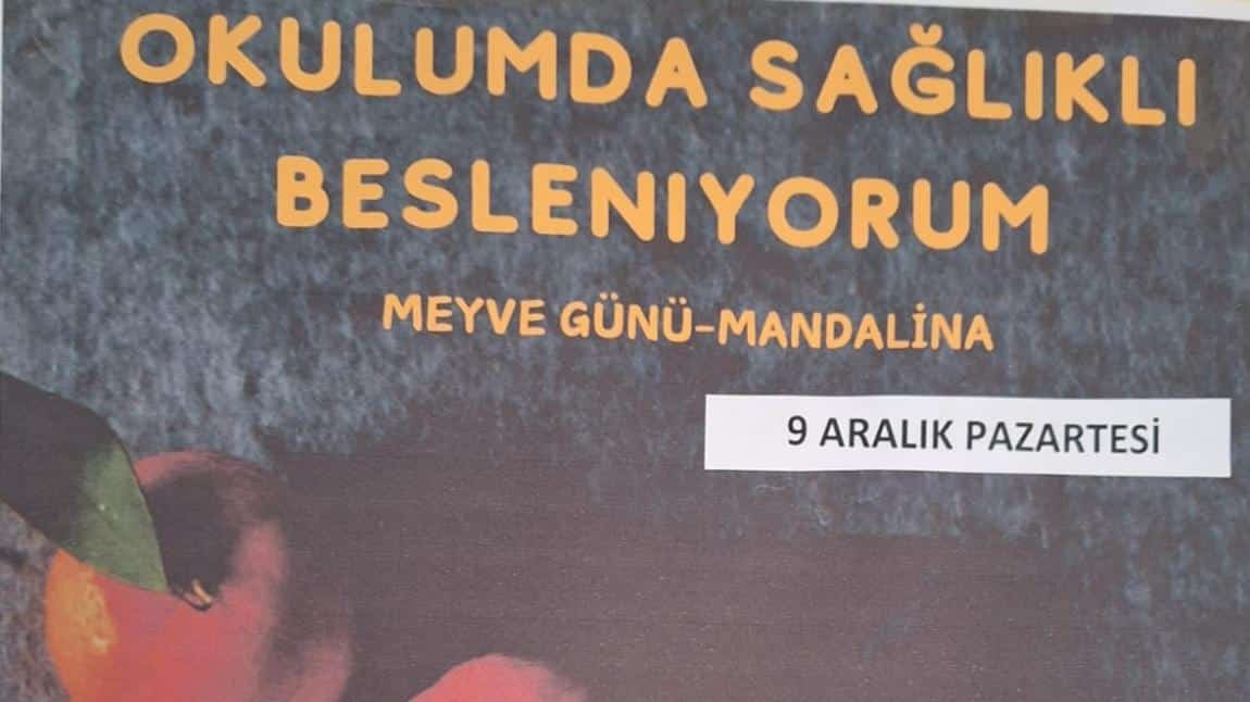 Okulumda Sağlıklı Besleniyorum Meyve Günü Etkinliği